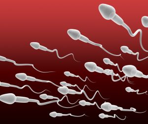 Spermatest aus der Apotheke – Wir haben verglichen