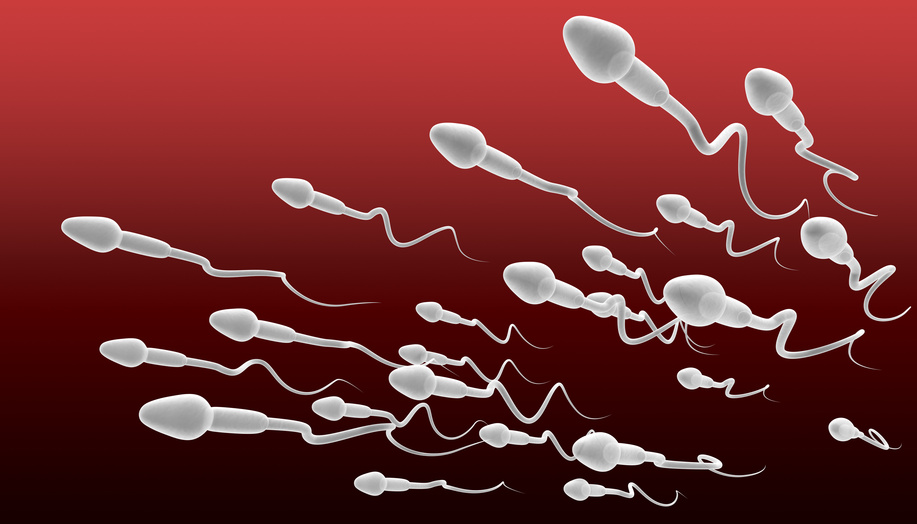 Spermatest aus der Apotheke – Wir haben verglichen