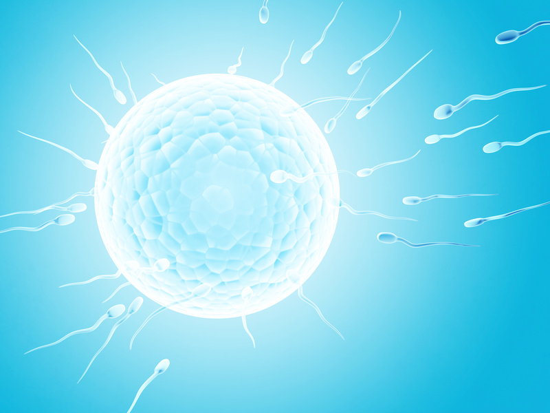 You are currently viewing Vitamin A unterstützt die Entwicklung der Spermazellen