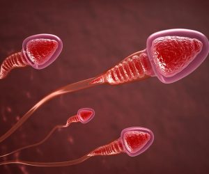 Spermiogramm: Spermienbeweglichkeit verstehen und erhöhen